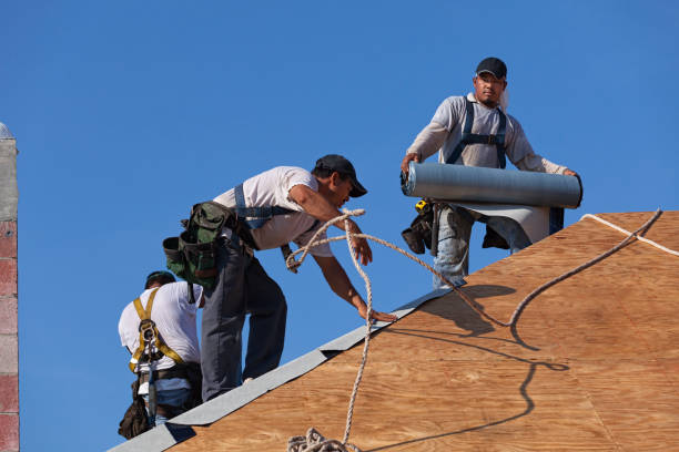 Best Roof Gutter Cleaning  in Fairchild Af, WA